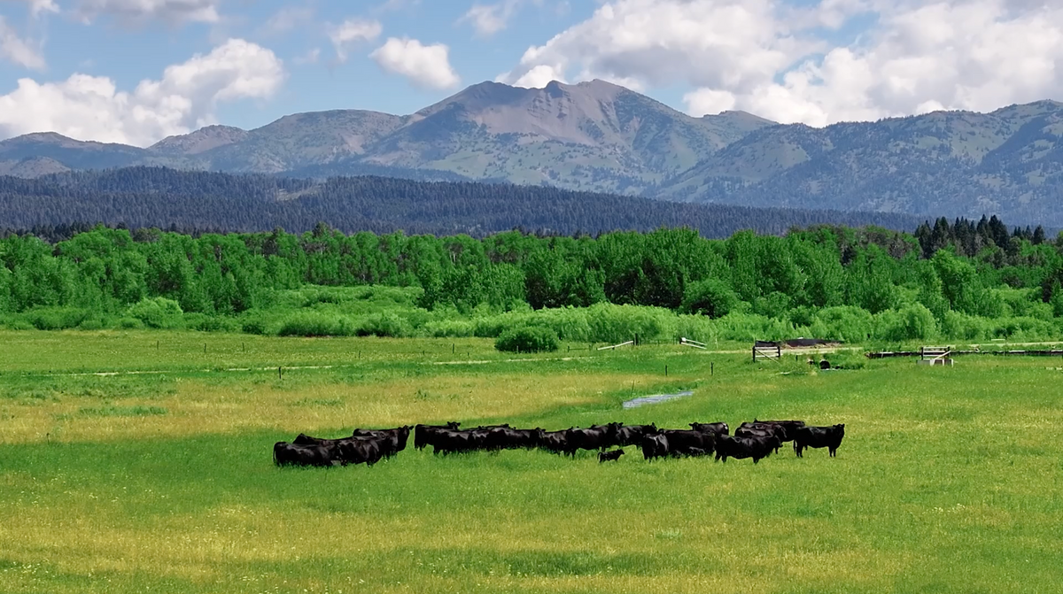Riverbend Ranch Map Riverbend Ranch | Find Your Favorite Cut of Beef – Riverbend Ranch Steaks