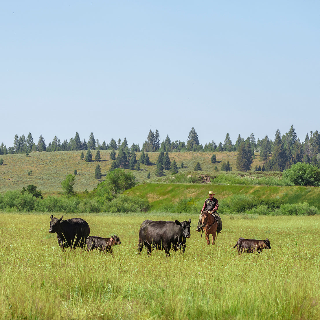Riverbend Ranch Map What Makes Us Different | Riverbend Ranch – Riverbend Ranch Steaks